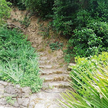 Les Acanthes Lauris Εξωτερικό φωτογραφία